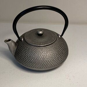 Cast Iron Tea Kettle